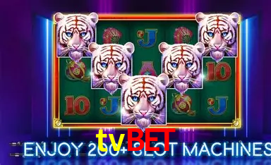 Mesas ao vivo tvbet